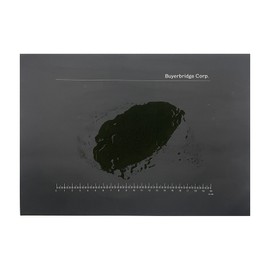 Domestic Chlorella powder powder Chlorella powder 100g, 1 piece / 국산 클로렐라 원말 분말 파우더 Chlorella powder 100g, 1개