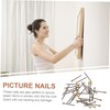 Operitacx 50pcs Nails for Furniture Decoration Strong Picture Hanging Nails