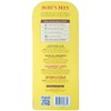 Burt's Bees Soak Up the Sun - Bálsamo labial variedad, 10 unidades (paquete de 1)