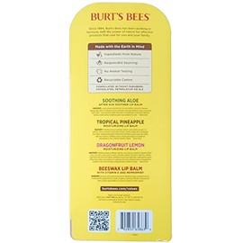 Burt's Bees Soak Up the Sun - Bálsamo labial variedad, 10 unidades (paquete de 1)