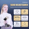 Travel Steamer For Clothes Portable Mini, 1470w Handheld Clothes Steamer