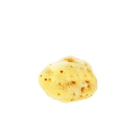 lagrang 천연해면 세안용-라지 Lagrange Natural Sea Sponge for Cleansing - Large
