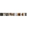 Mystique Rabbit Fur Dummy 500 g, Also Ideal for Dogs