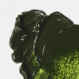 Winsor & Newton Winton Oil Colour 37 ml Tube, Sap Green (599)