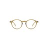 IZIPIZI Unisex Shape D Lesebrille, Golden Green, 48 x 142