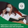 FGO Organic Peppermint Tea, 100 Count, Eco-Conscious Tea Bags, Caffeine