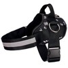Joyride Basic Essential Dog Harness 1.0 - Small, Medium, Large