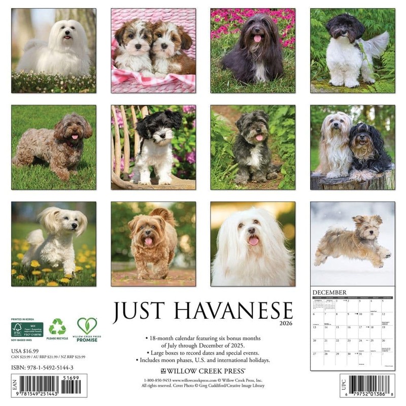 Havanese 2026 12" x 12" Wall Calendar