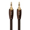 Audioquest BIG SUR High-End Audio Cable 3.5 MM Stereo Jack