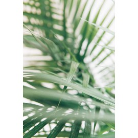 Dr. Spiller - Cellular Night Cream | Night Cream in W/O Emulsion | Lipid Content 38% | Skin Regeneration Overnight | Optimal Lipid and Moisture Ratio | For Hydrated & Plump Skin