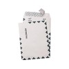 Survivor R1470 Tyvek Open-End Envelope,1st Class,9-Inch x12-Inch,100/BX,WE