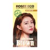 Rosé Eco Aloe Hair Color Cream C8 Light Tan /