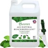 Puremint Roach Repellent, 128 fl oz