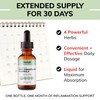 USDA Organic Inflammatory Support Drops - Turmeric Curcumin, Ginger, Boswellia