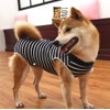 Dog Recovery Suit Abdominal Wound Protector Puppy Medical Surgical Clothes