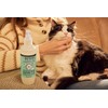 MRS. MEYER'S CLEAN DAY Cat Deodorizing Spray, Sweet Chamomile Scent,