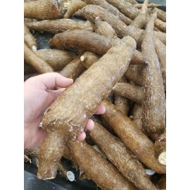 Unbranded Yuca Root (8 LBS) The Actual Vegetable