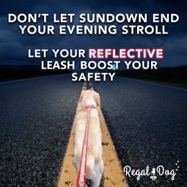 Regal Dog Products Reflective Leash – 5 ft. Dog Leash with Easy to Use Collar Hook, Lightweight, and Odor Proof Training Pet Lead for Small, Medium, Large, or XL Dogs (Orange)