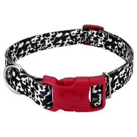 Country Brook Petz - Deluxe Dairy Cow Dog Collar - Made in The U.S.A. - Animal Prints Collection Featuring Wild Designs (1 Inch, Medium)