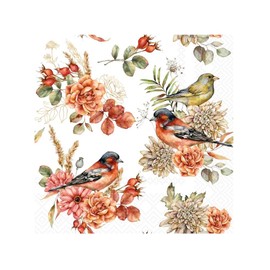 IHR Ideal Home Range Cocktail Napkins Disposable 3-Ply Paper Party Napkin Pack, 5" x 5", Bird Song, 20-Count