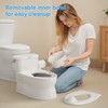 CheerTry 2-in-1 Toddler Potty Training Toilet - with Detachable Training