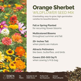 Eden Brothers Orange Sherbet Flower Mixed Seeds for Planting, 1/4 lb, 120,000+ Seeds with Cosmos Picotee, Bright Lights | Attracts Pollinators, Plant in Spring or Fall, Zones 3, 4, 5, 6, 7, 8, 9, 10