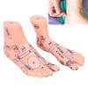 Foot acupoint model, foot point model PVC eco-friendly educational tool