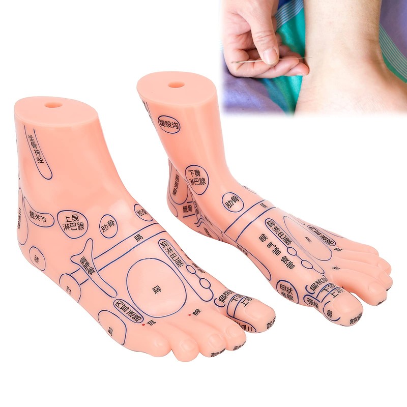 Foot acupoint model, foot point model PVC eco-friendly educational tool