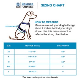 Blue-9 Buckle-Neck Balance Harness, Fully Customizable Fit No-Pull Harness, Ideal for Dog Training and Obedience, Made in The USA, Black, Small