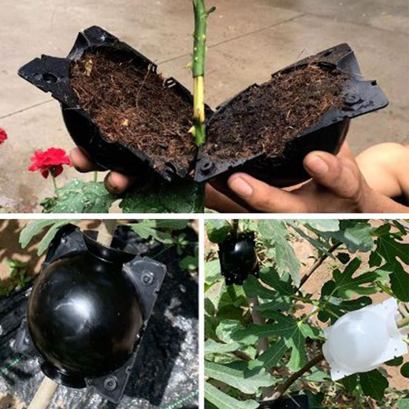 5 Set Reusable Plant Growing Grafting Rooting Devices High Pressure