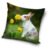 Rabbit Baby Cushion Cover 40 x 40 cm (PD211001)