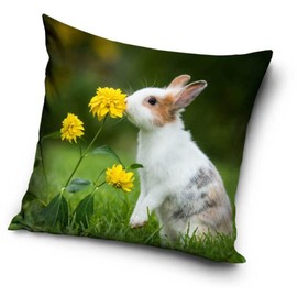 Rabbit Baby Cushion Cover 40 x 40 cm (PD211001)