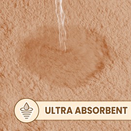 TECHMILLY Fluffy Bathroom Rug Mat 24x17, Absorbent Thick Non Slip Microfiber Mats, Quick Dry Machine Washable Bath Rug for Bathroom Floor, Bathtub and Shower, Beige