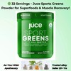 Terra Kai Organics Juce Sports Greens, 32 Servings