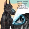 FDEETY Muzzle for Dogs, Adjustable Loop, Breathable Mesh, Prevents Biting,