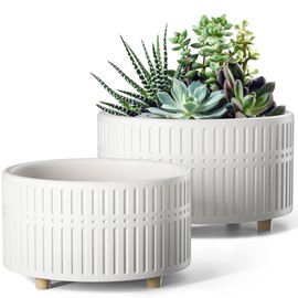LE TAUCI Succulent Pots, 6.5+8 Inch Ceramic Indoor Plant Pot with Drainage Hole, Shallow Round Succulent Planters, Set of 2, Matte White