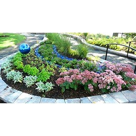 American Specialty Glass (Crystal) Blue Landscape Glass Landscaping Glass - 25 lbs, Large