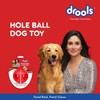 Drools Non-Toxic Rubber Dog Toy Hole Ball - 7.6cm (Medium)