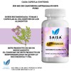 Astragalo 100% Puro 120 Cápsulas (astragalus) Saisa Herbal
