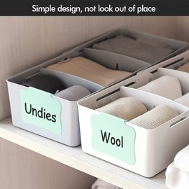12PCS Basket Labels Clip On for Storage Bins, Removable & Erasable Bin Labels Clips On, Laundry Kitchen Pantry Labels for Organizing Baskets Cube Box (Green)