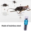 Fpxnb 350 Pcs Stainless Steel Insect Pins in 7 Sizes,