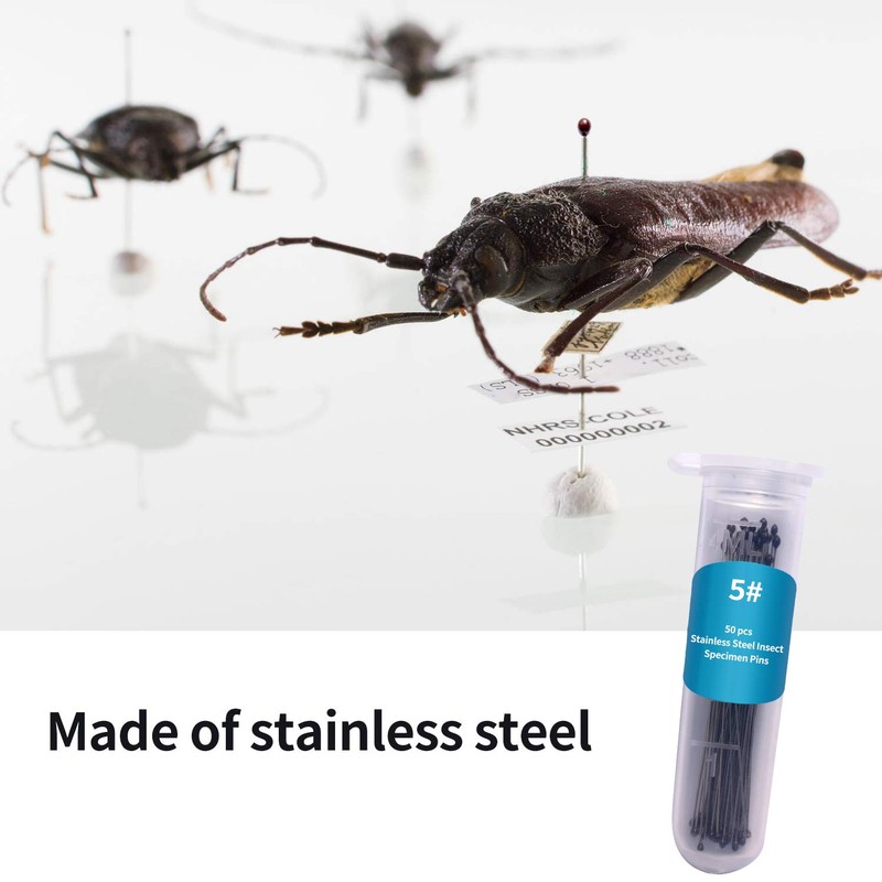 Fpxnb 350 Pcs Stainless Steel Insect Pins in 7 Sizes,