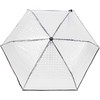 iX-brella Pocket Umbrella Transparent with Lens Effect and Coloured Handle