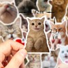 DERFILIN 100PCS Cute Cat Stickers Pack, Kids Birthday Gift Stickers