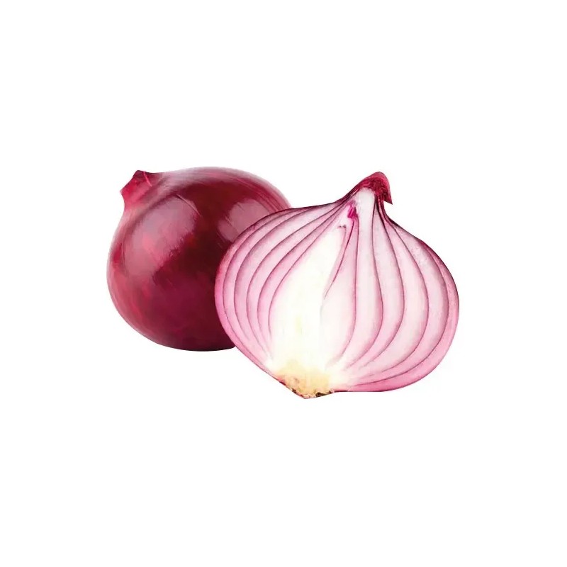Shampoo De Cebolla Con Biotina 4 En 1 Sin Sal