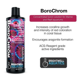 Brightwell Aquatics BoroChrom - Concentrated Boron Solution for Coralline Growth and Red Coloration in Marine Aquariums