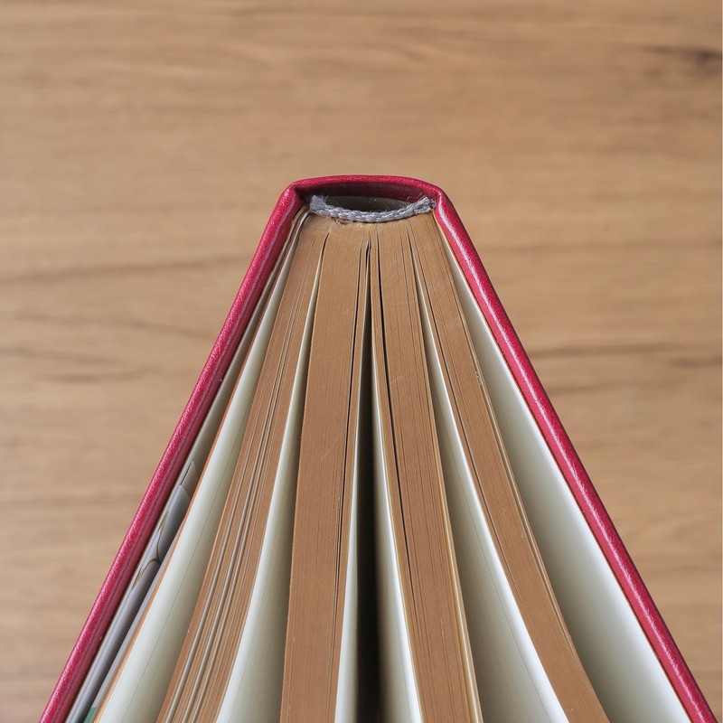 Thick Lined Journal Notebook with Pen, 360 Pages 100gsm Paper,