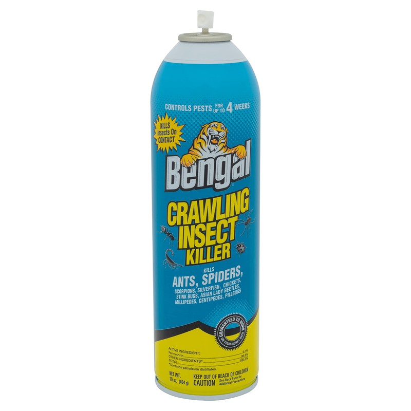 Bengal Crawling Insect Killer, Indoor and Outdoor Aerosol Ant and