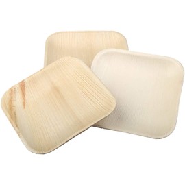 RAJRANG 25 Pcs Disposable Palm Leaf Plates - Organic Wooden Plates Biodegradable and Compostable Natural Eco-Friendly Square Party Plates 15x15 cm