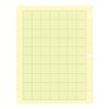 National Computation Pad, 5 x 5 Quad Ruling and Unruled,